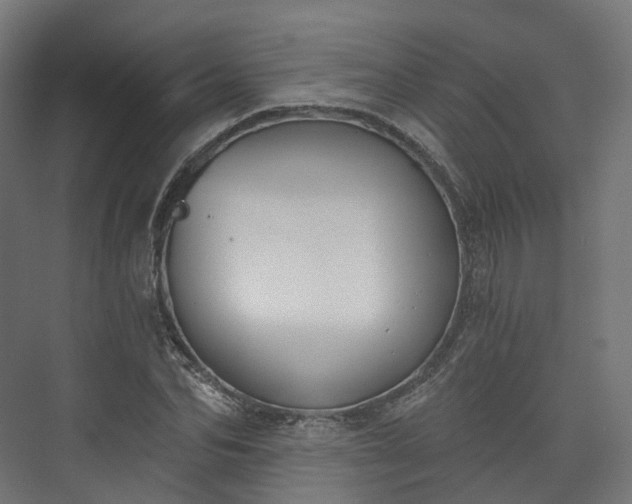 X0000073480974200608071016