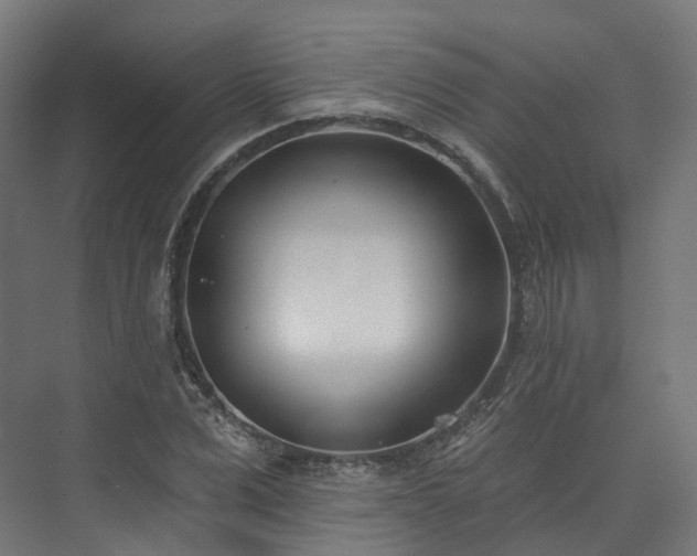 X0000073480975200608071016