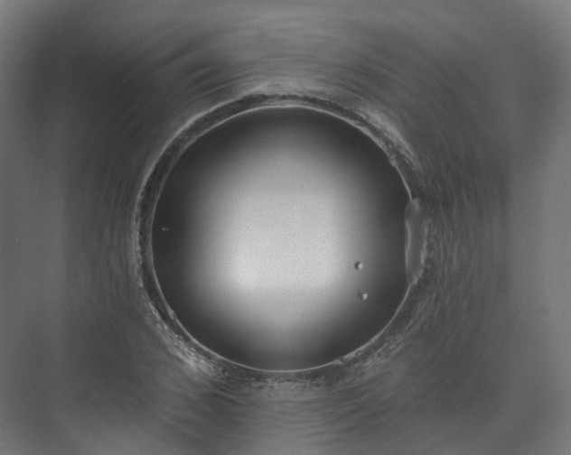 X0000073480976200608071016