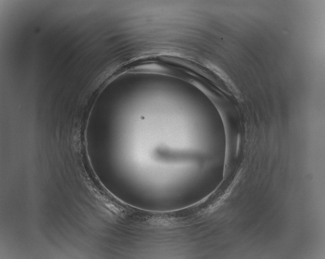 X0000073480977200608071016