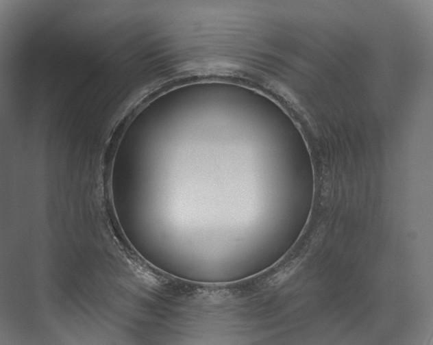 X0000073480978200608071016