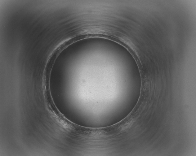 X0000073480979200608071016