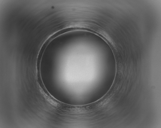 X0000073480980200608071016