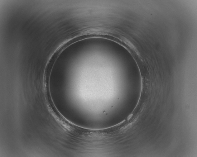 X0000073480981200608071016