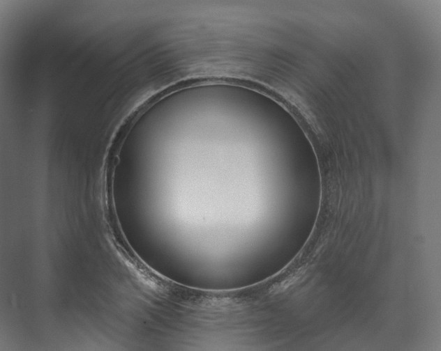 X0000073480982200608071016