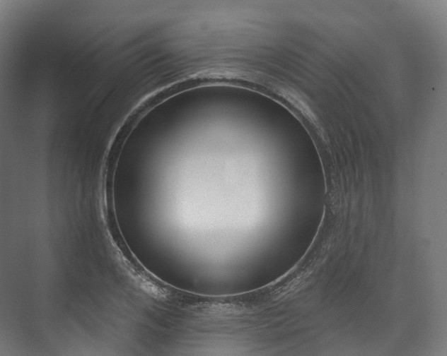 X0000073480984200608071016