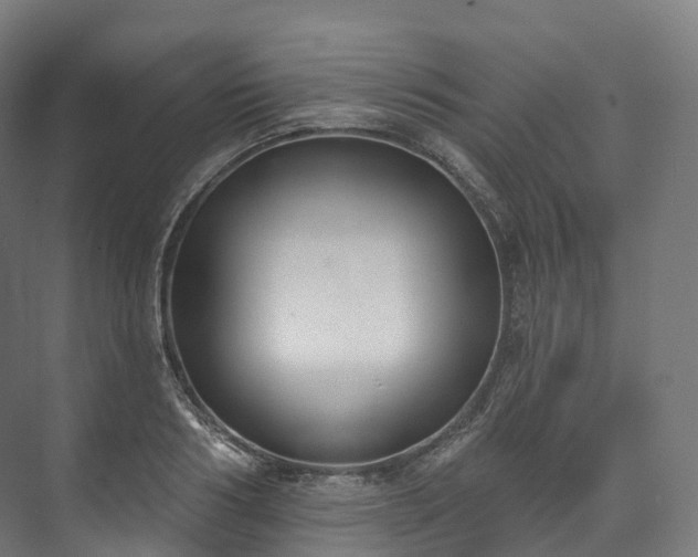 X0000073480986200608071016