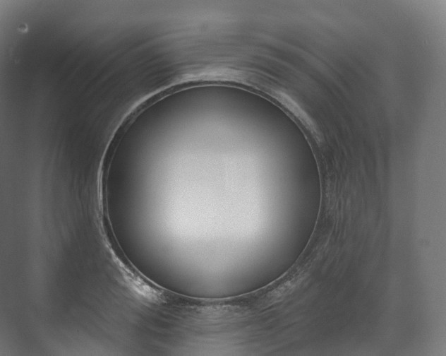 X0000073480988200608071016