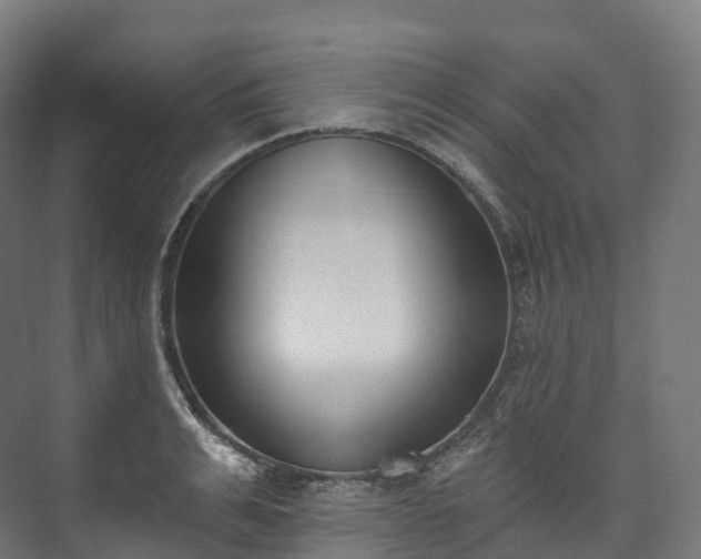 X0000073480991200608071016