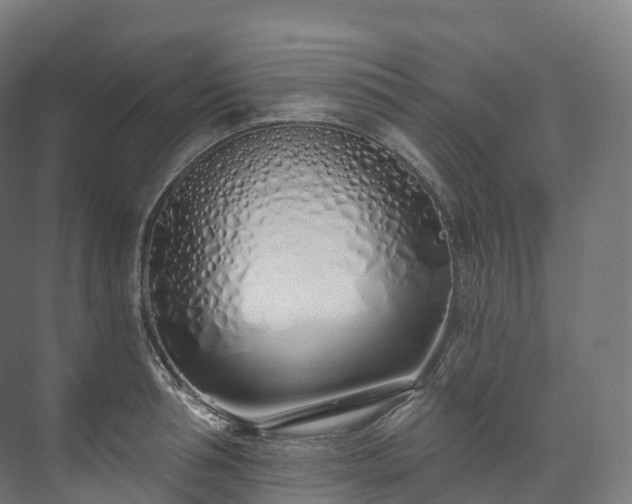 X0000073480994200608071016