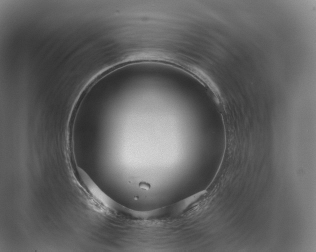 X0000073480996200608071016