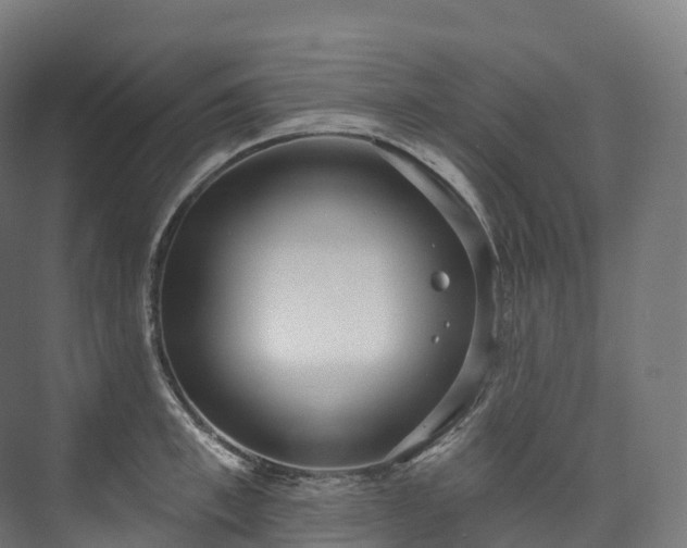 X0000073480997200608071016