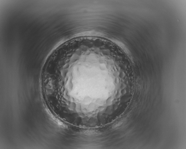 X0000073480998200608071016