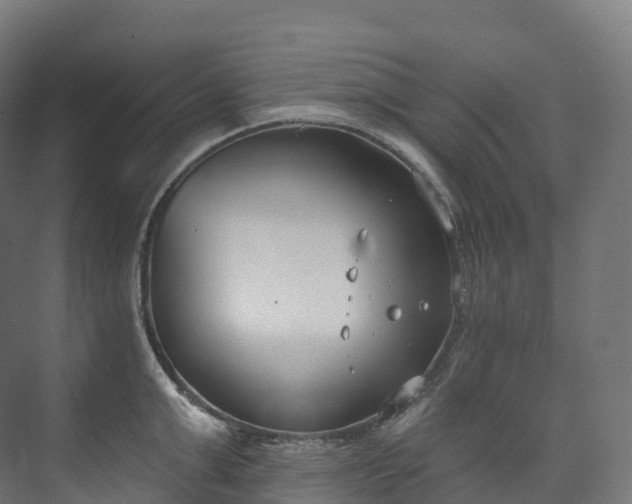 X0000073480999200608071016