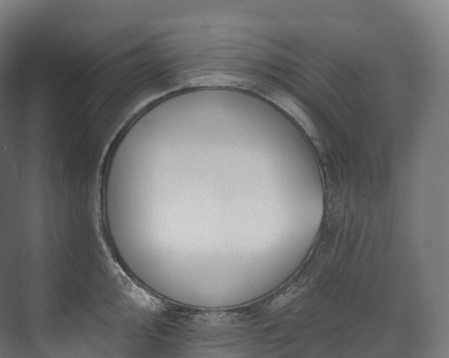 X0000073481000200608071016