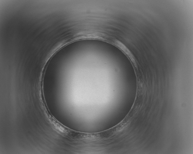 X0000073481002200608071016