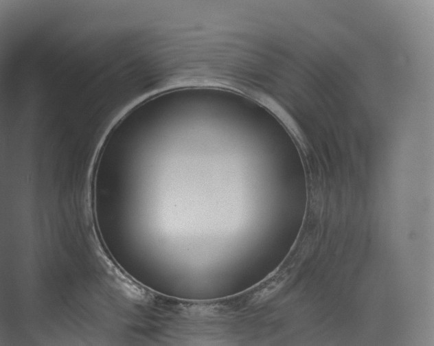 X0000073481004200608071016