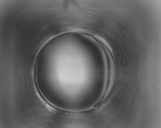 X0000073481007200608071016