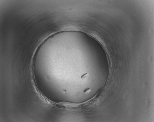 X0000073481008200608071016