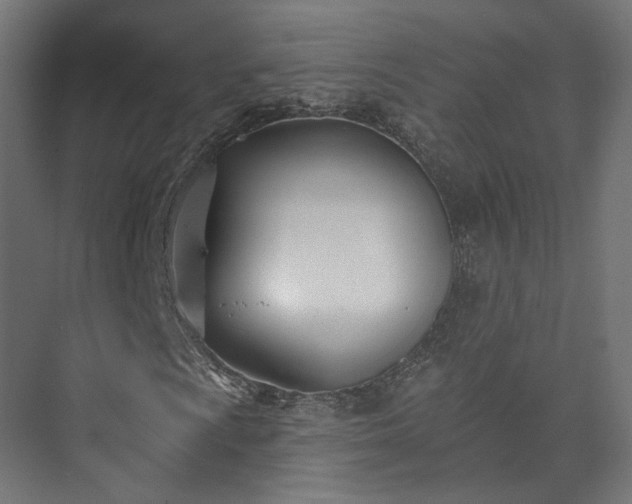 X0000073481009200608071015