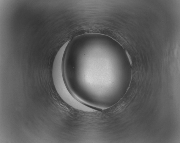 X0000073481010200608071015