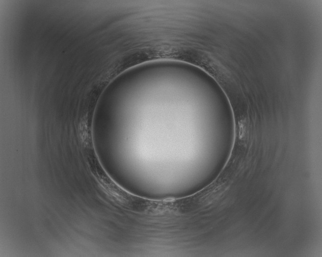 X0000073481011200608071015