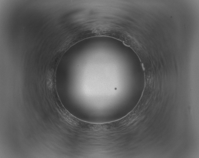 X0000073481012200608071015