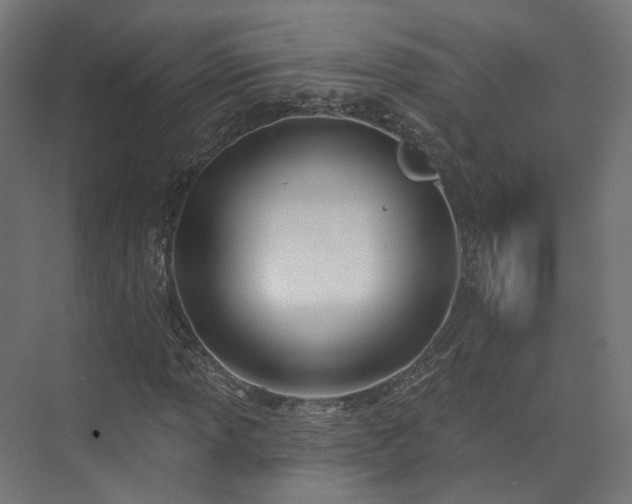 X0000073481013200608071015