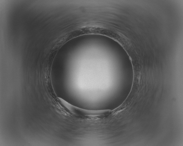 X0000073481014200608071015