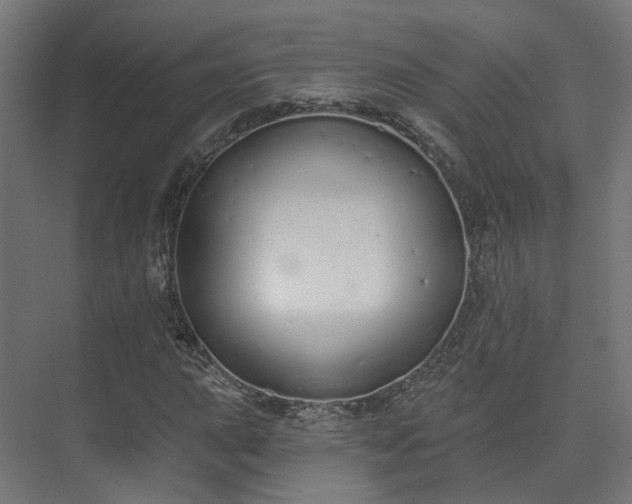 X0000073481015200608071015