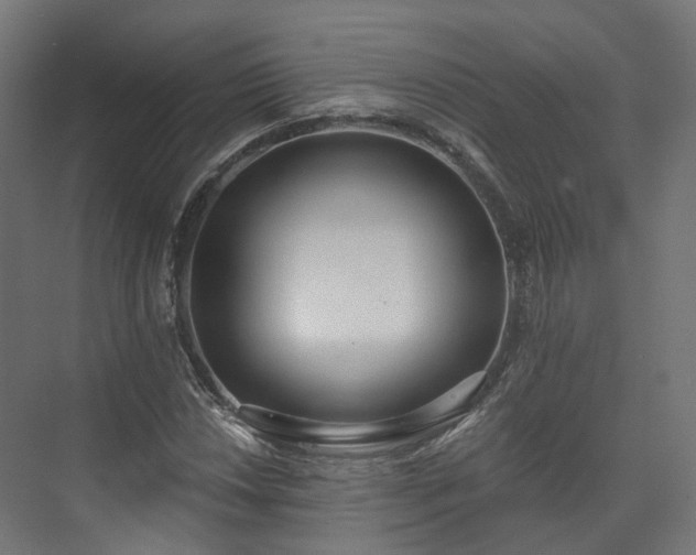 X0000073481018200608071015