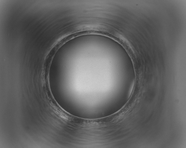 X0000073481019200608071015