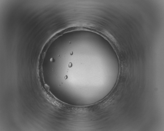 X0000073481020200608071015