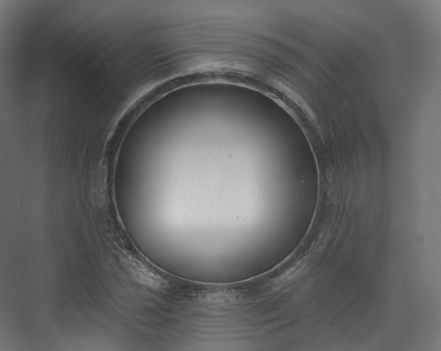 X0000073481021200608071015