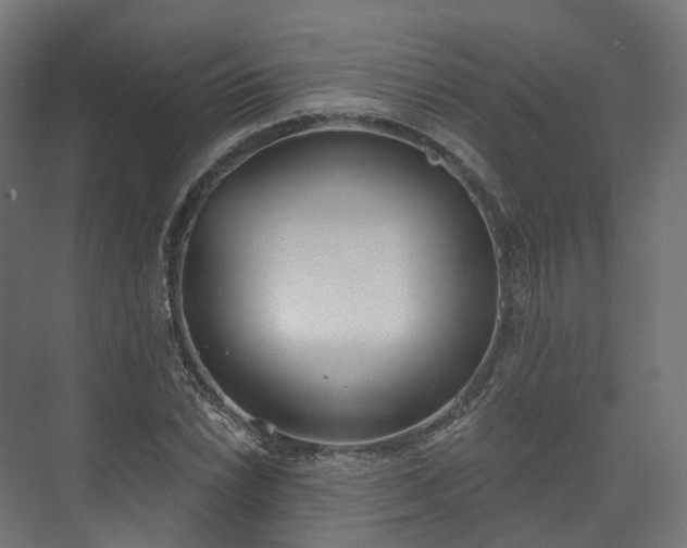 X0000073481022200608071015