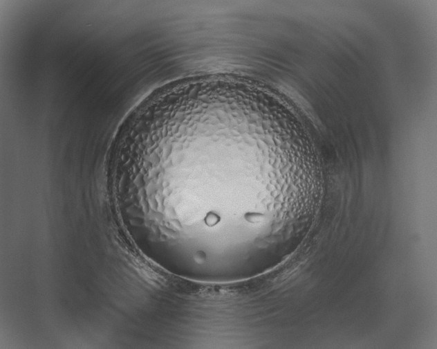 X0000073481023200608071015