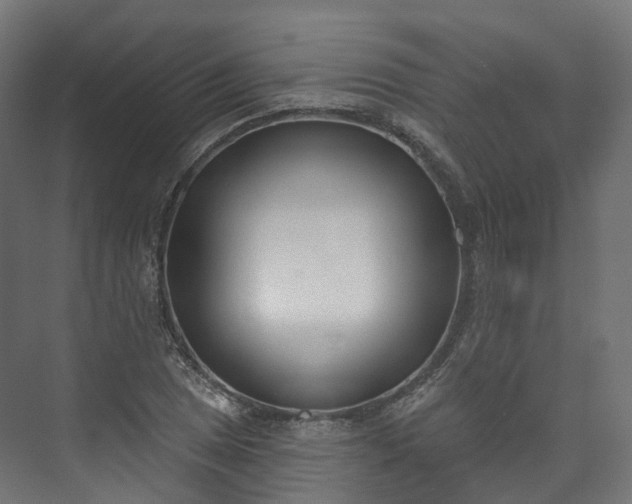 X0000073481025200608071015