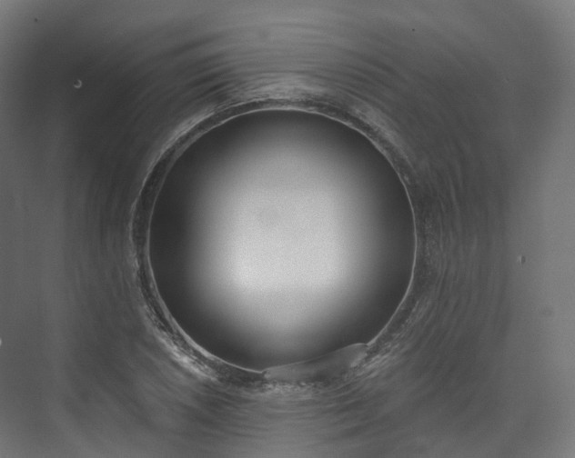 X0000073481026200608071015