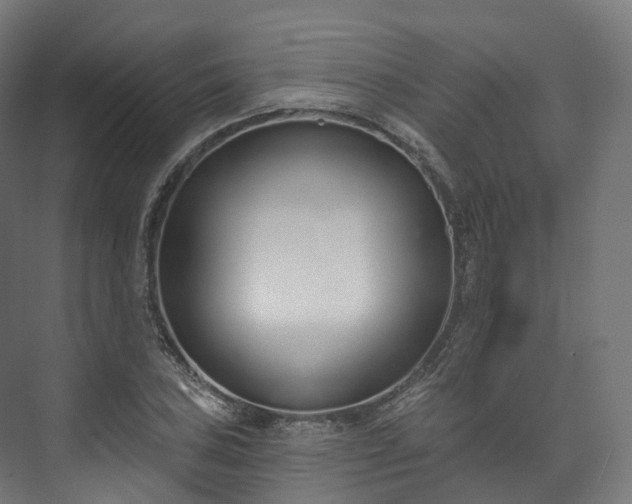 X0000073481027200608071015