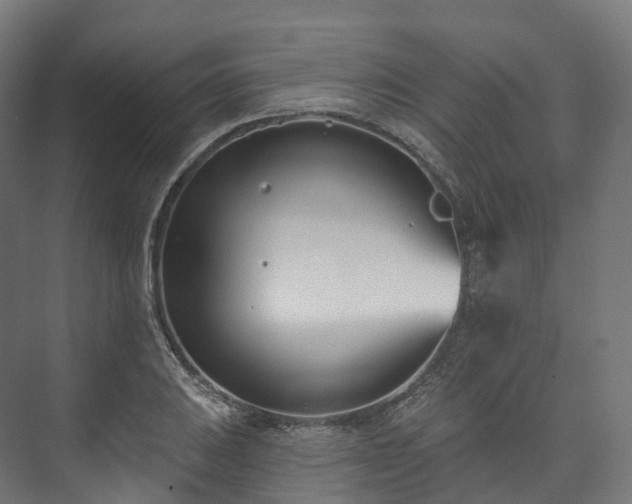 X0000073481031200608071015