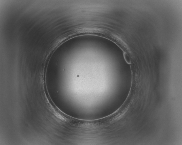 X0000073481033200608071015