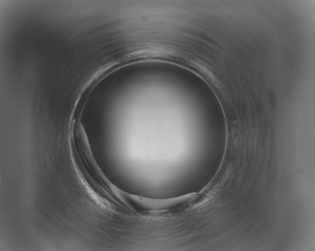 X0000073481034200608071015