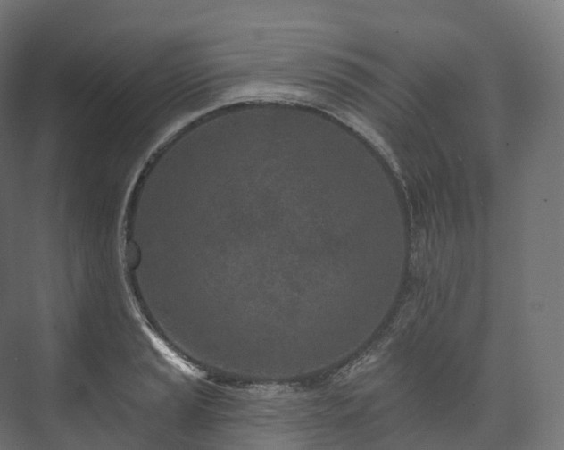 X0000073481037200608071015