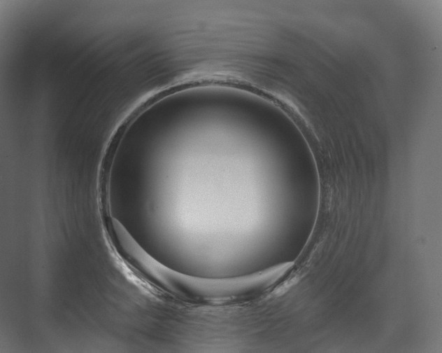 X0000073481038200608071015