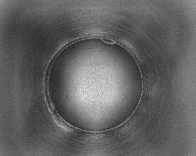 X0000073481039200608071015