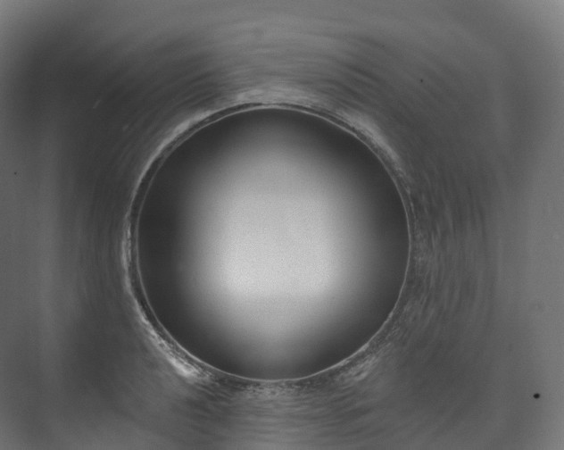 X0000073481040200608071015