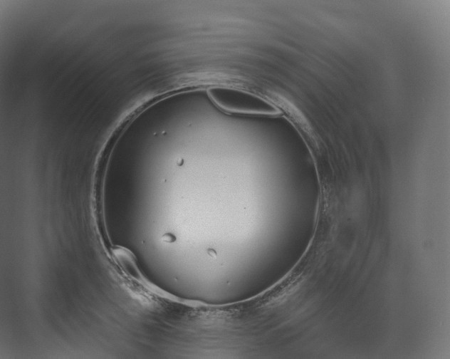 X0000073481043200608071015