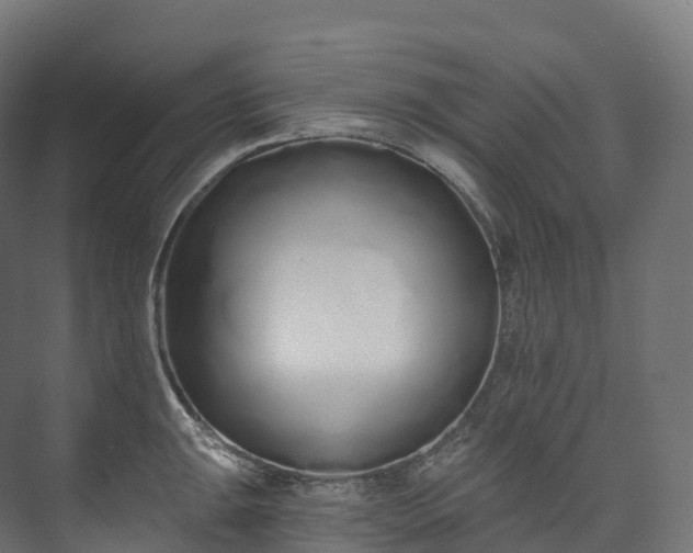 X0000073481047200608071016