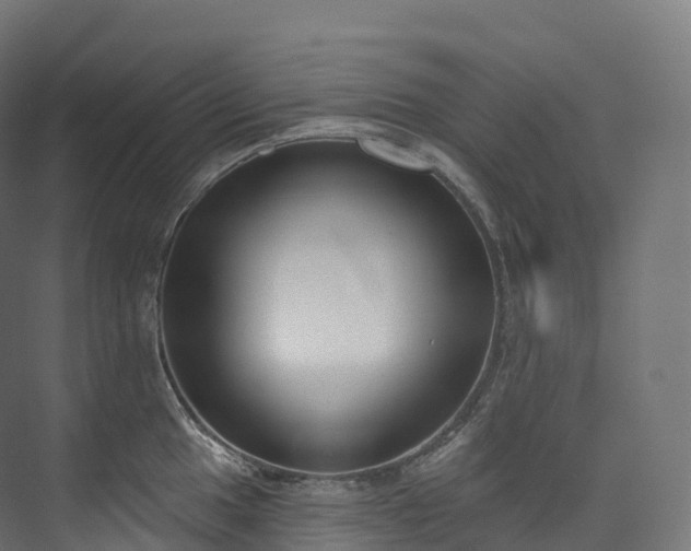 X0000073481049200608071016