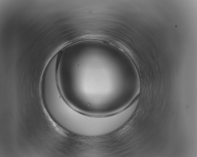 X0000073481050200608071016